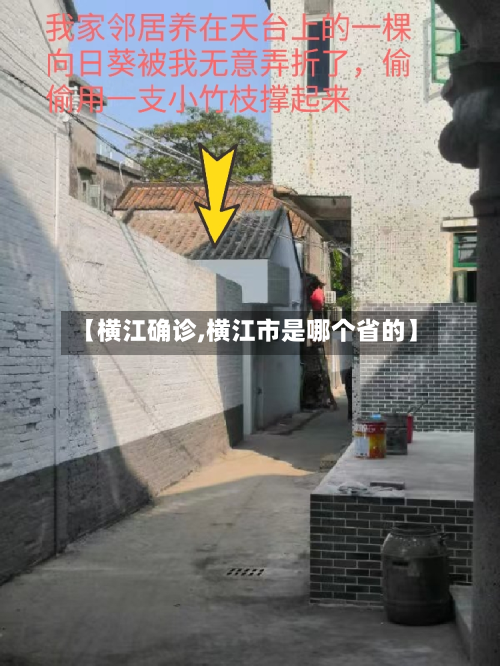 【横江确诊,横江市是哪个省的】