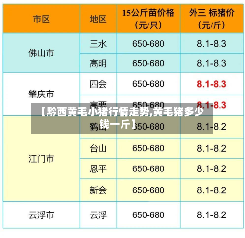 【黔西黄毛小猪行情走势,黄毛猪多少钱一斤】-第2张图片