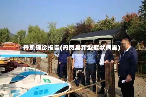 丹凤确诊报告(丹凤县新型冠状病毒)