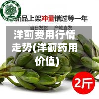 洋蓟费用行情走势(洋蓟药用价值)-第2张图片