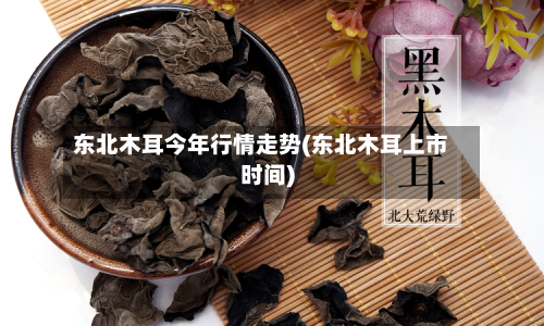 东北木耳今年行情走势(东北木耳上市时间)