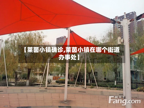【莱茵小镇确诊,莱茵小镇在哪个街道办事处】-第3张图片