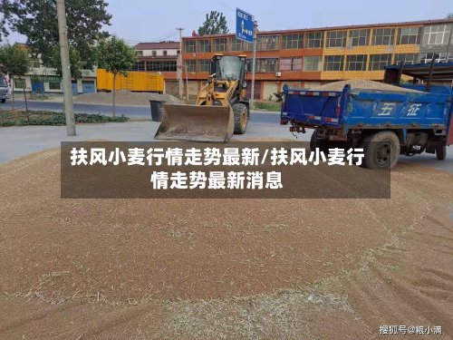 扶风小麦行情走势最新/扶风小麦行情走势最新消息-第2张图片