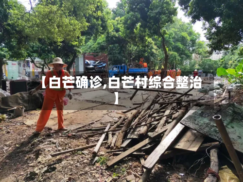【白芒确诊,白芒村综合整治】-第3张图片