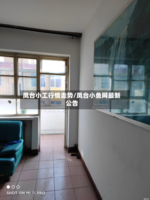 凤台小工行情走势/凤台小鱼网最新公告