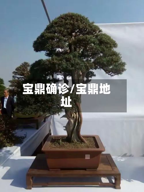 宝鼎确诊/宝鼎地址