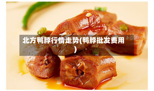 北方鸭脖行情走势(鸭脖批发费用)