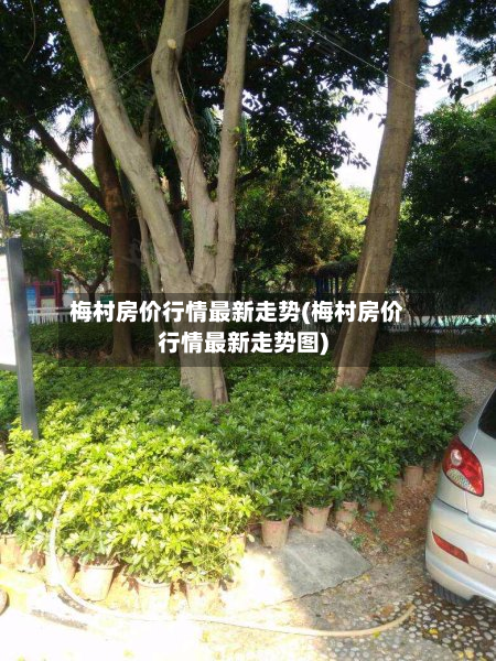 梅村房价行情最新走势(梅村房价行情最新走势图)-第2张图片