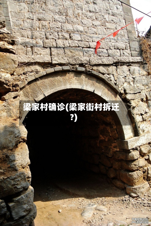 梁家村确诊(梁家街村拆迁?)