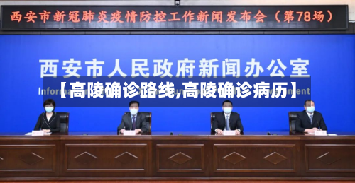 【高陵确诊路线,高陵确诊病历】-第2张图片