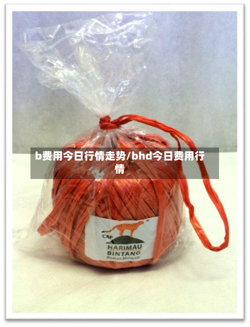 b费用今日行情走势/bhd今日费用行情-第2张图片