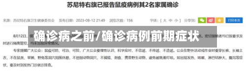 确诊病之前/确诊病例前期症状
