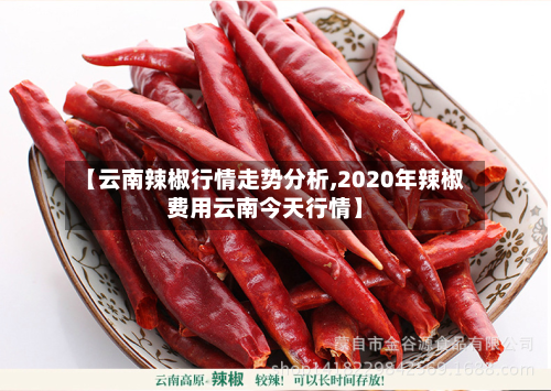【云南辣椒行情走势分析,2020年辣椒费用云南今天行情】