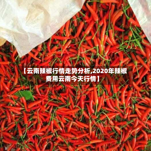 【云南辣椒行情走势分析,2020年辣椒费用云南今天行情】-第2张图片