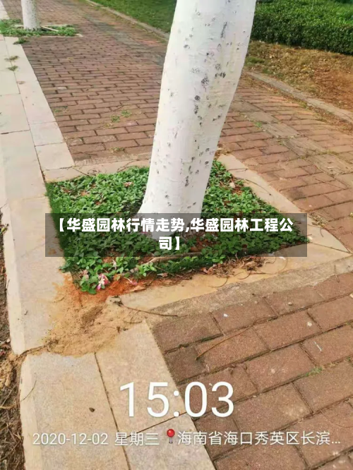 【华盛园林行情走势,华盛园林工程公司】-第2张图片