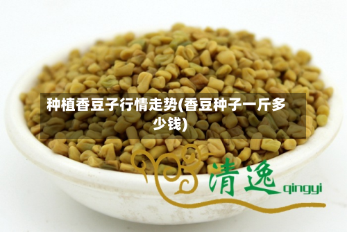 种植香豆子行情走势(香豆种子一斤多少钱)-第3张图片