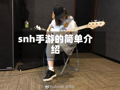 snh手游的简单介绍