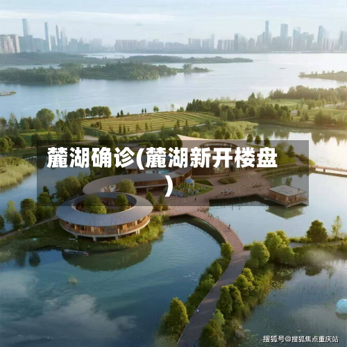 麓湖确诊(麓湖新开楼盘)