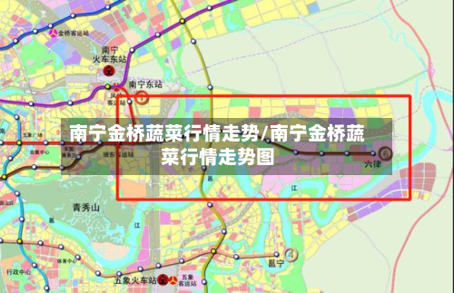南宁金桥蔬菜行情走势/南宁金桥蔬菜行情走势图