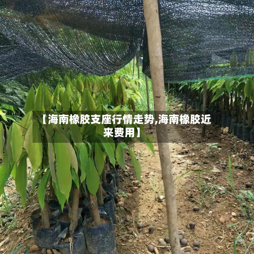 【海南橡胶支座行情走势,海南橡胶近来费用】