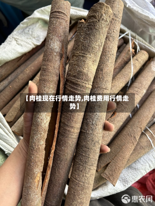 【肉桂现在行情走势,肉桂费用行情走势】-第2张图片