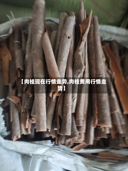 【肉桂现在行情走势,肉桂费用行情走势】-第3张图片
