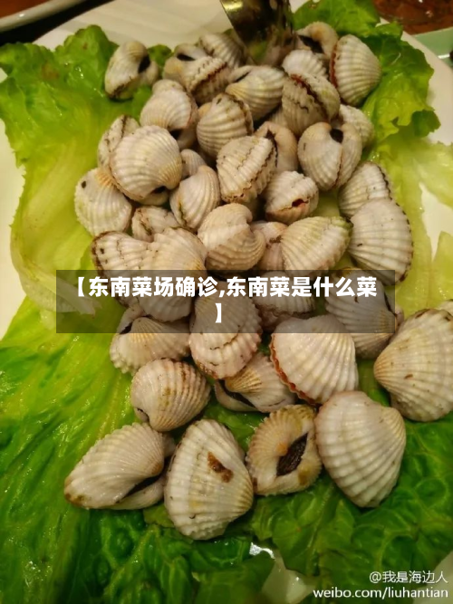 【东南菜场确诊,东南菜是什么菜】-第2张图片