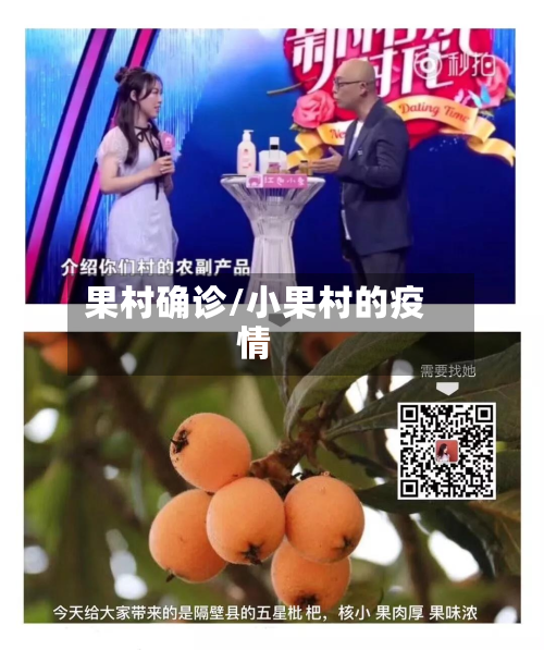 果村确诊/小果村的疫情-第2张图片