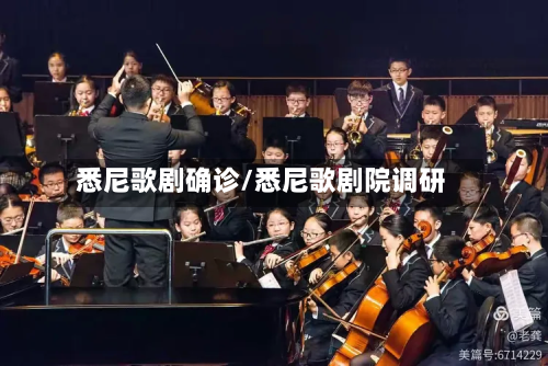 悉尼歌剧确诊/悉尼歌剧院调研-第3张图片