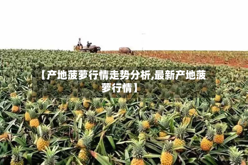 【产地菠萝行情走势分析,最新产地菠萝行情】-第2张图片