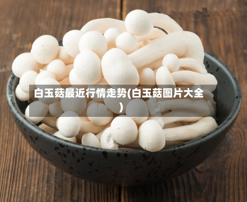白玉菇最近行情走势(白玉菇图片大全)