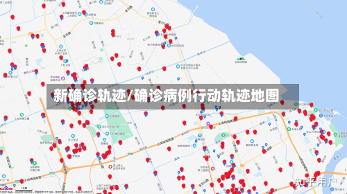 新确诊轨迹/确诊病例行动轨迹地图-第3张图片