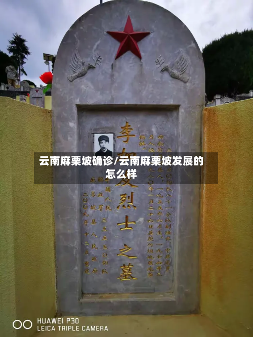 云南麻栗坡确诊/云南麻栗坡发展的怎么样-第2张图片