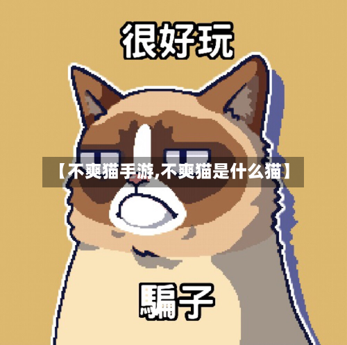 【不爽猫手游,不爽猫是什么猫】