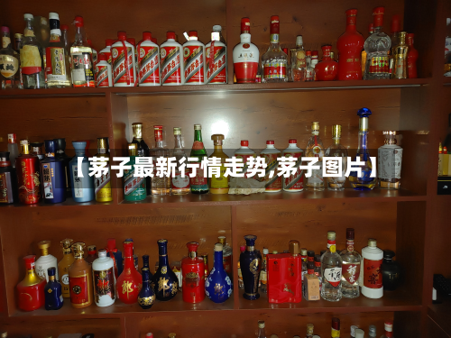 【茅子最新行情走势,茅子图片】-第2张图片