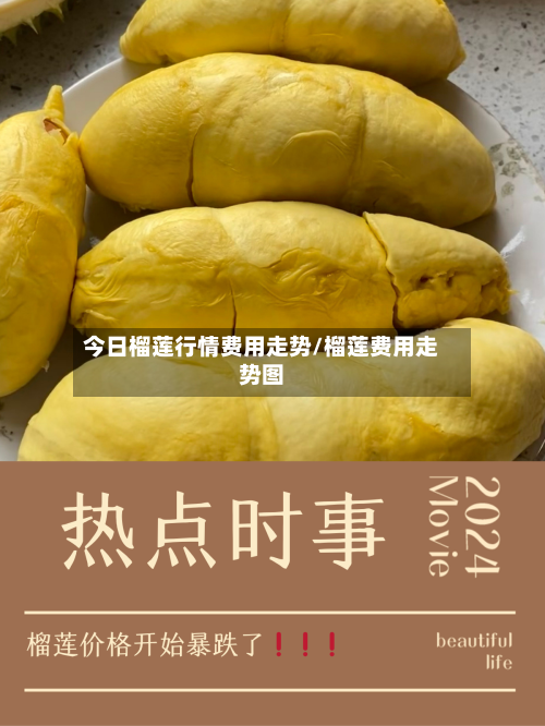 今日榴莲行情费用走势/榴莲费用走势图