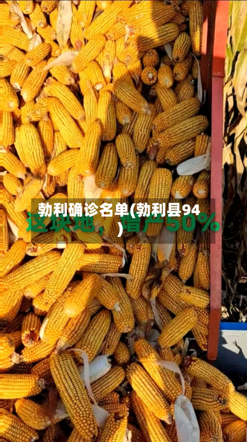 勃利确诊名单(勃利县94)