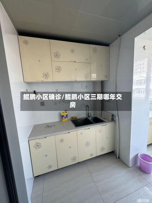 鲲鹏小区确诊/鲲鹏小区三期哪年交房