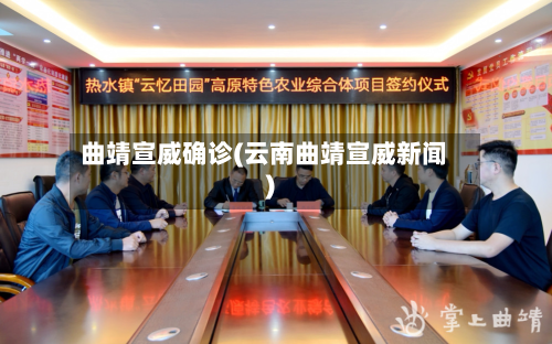 曲靖宣威确诊(云南曲靖宣威新闻)