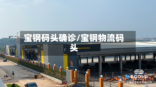 宝钢码头确诊/宝钢物流码头-第2张图片