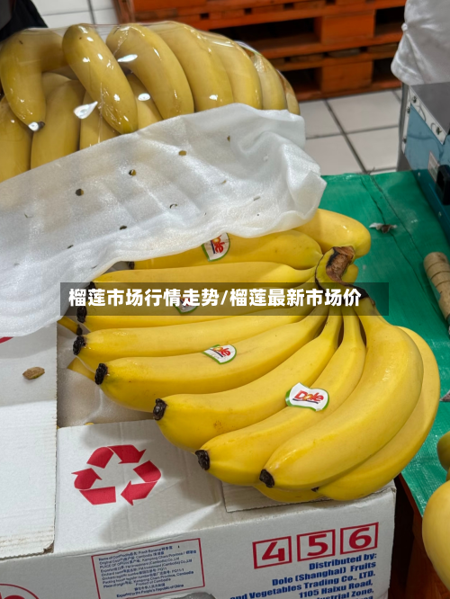 榴莲市场行情走势/榴莲最新市场价-第2张图片