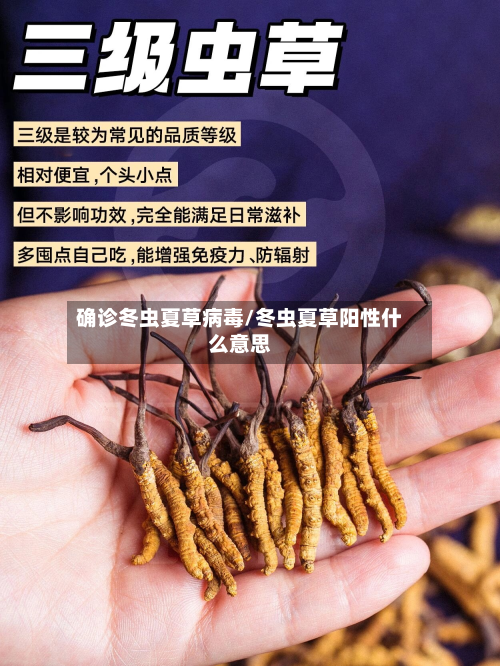 确诊冬虫夏草病毒/冬虫夏草阳性什么意思