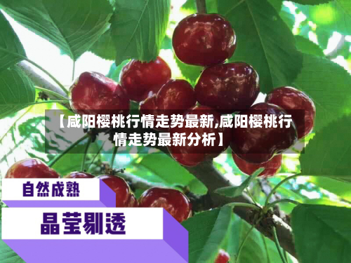 【咸阳樱桃行情走势最新,咸阳樱桃行情走势最新分析】-第2张图片