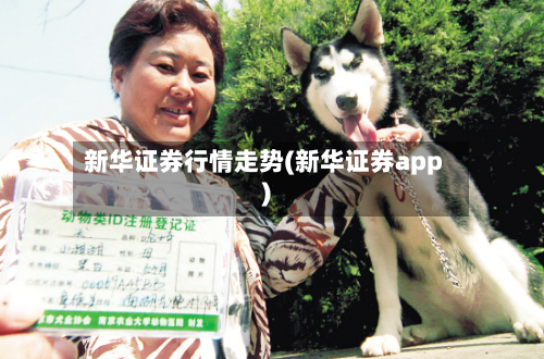 新华证券行情走势(新华证券app)