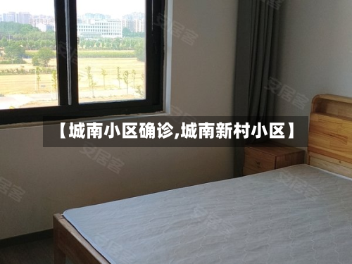 【城南小区确诊,城南新村小区】