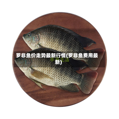 罗非鱼价走势最新行情(罗非鱼费用最新)-第3张图片