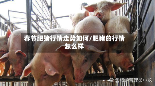 春节肥猪行情走势如何/肥猪的行情怎么样