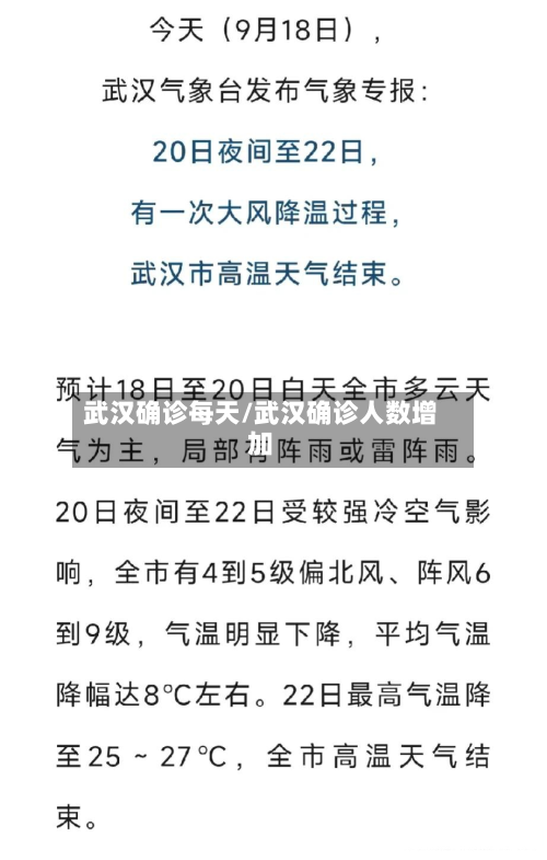 武汉确诊每天/武汉确诊人数增加