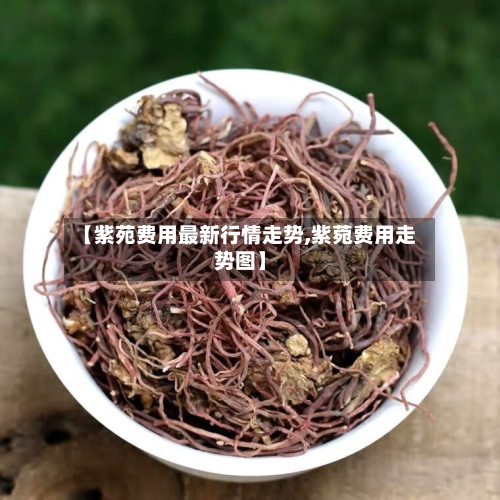 【紫苑费用最新行情走势,紫菀费用走势图】
