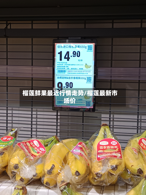 榴莲鲜果最近行情走势/榴莲最新市场价-第3张图片
